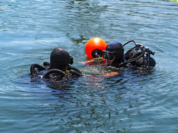 Stock image Divers