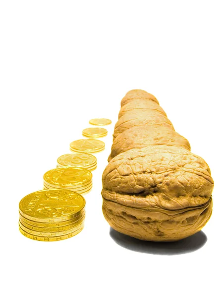 Nut and money — Stock Photo, Image