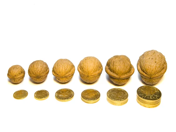 Nut and money — Stock Photo, Image