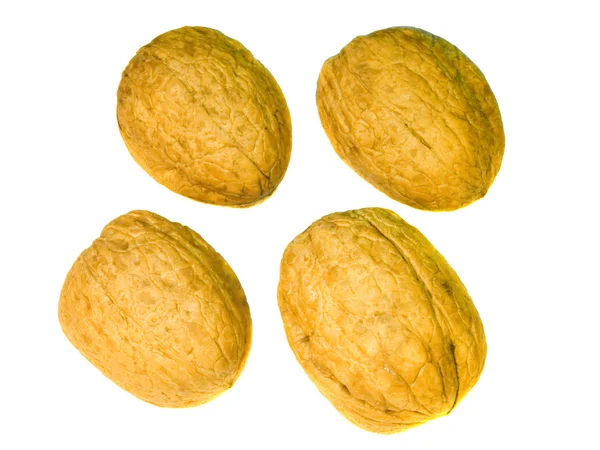 Nut pada latar belakang putih — Stok Foto