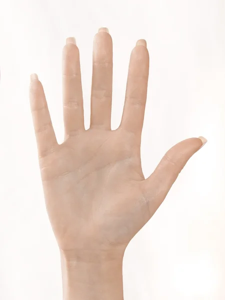 Hands and Fingers — Stock Photo, Image