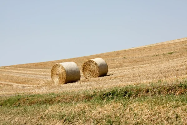 Felder von Emilia-Romagna — Stockfoto
