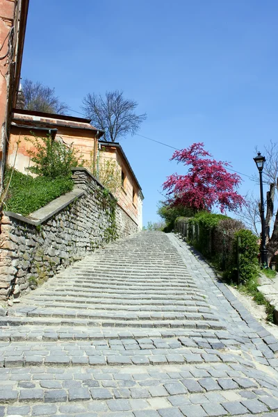 Old stairs of Sighisoara — Stock Photo, Image