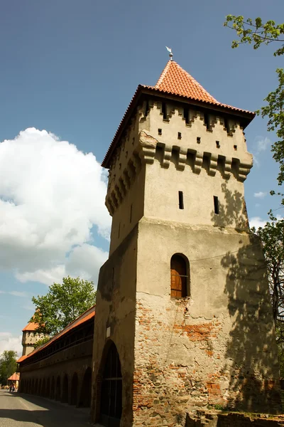 Medieval tower — Stock Photo, Image
