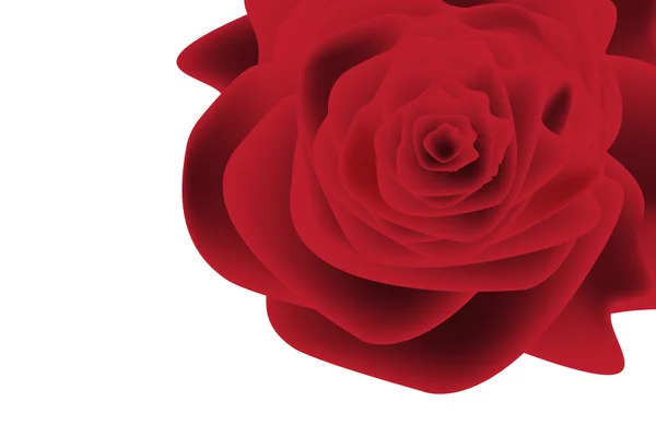 红色玫瑰花朵孤立在白色背景上的图示 — 图库矢量图片