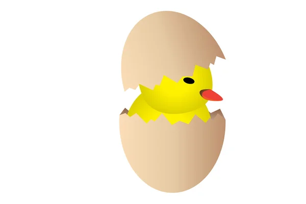 Grafisk illustration av en ny baby född kyckling — Stock vektor