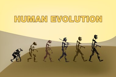 Human evolution representation in this graphic illustration.