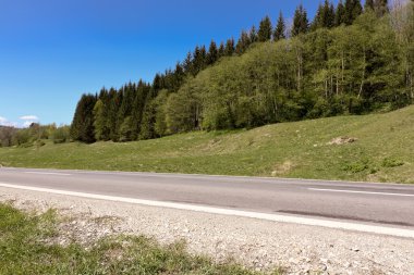 brasov city ile yol ve yeşil orman yakınındaki kırsal sahne