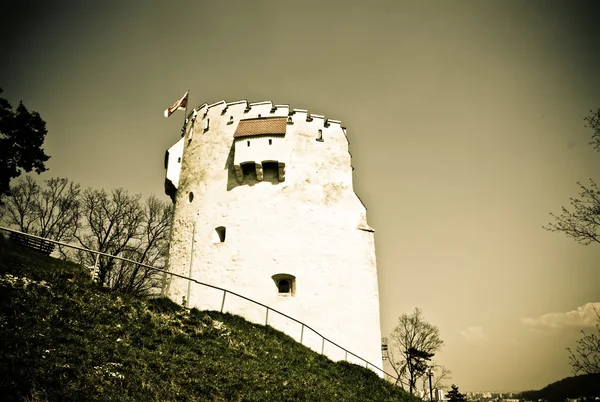 Белая башня — стоковое фото