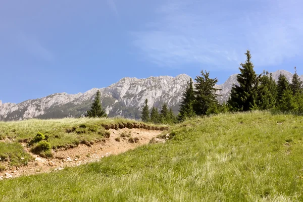 Vista Panorámica Las Montañas Piatra Craiului Desde Las Montañas Cárpatos — Foto de Stock