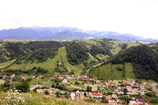 Wieś Sceny Punktu Widzenia Drodze Krok Rucăr Otręby — Zdjęcie stockowe