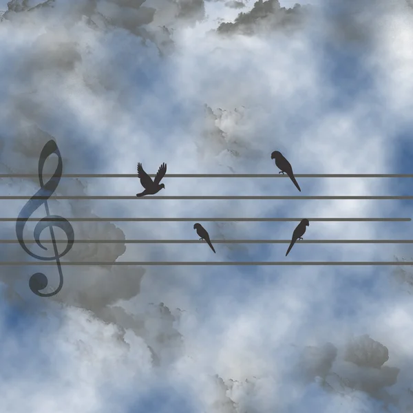 Aves musicales — Foto de Stock