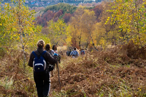 stock image Tourists descending