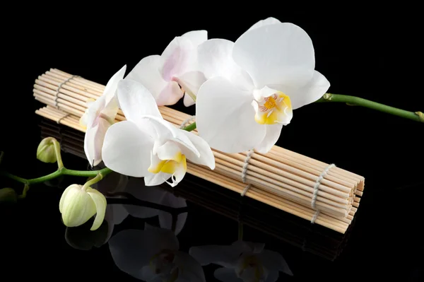 Biała orchidea i mate bambusowa — Zdjęcie stockowe