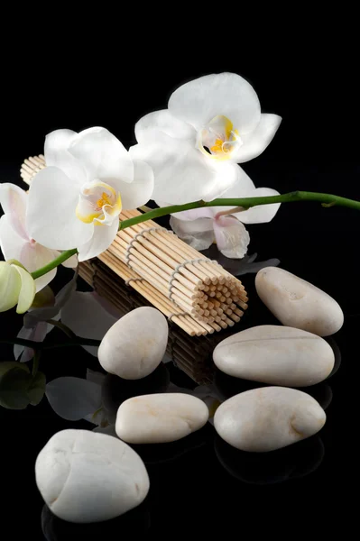 Biała orchidea i kamienie — Zdjęcie stockowe