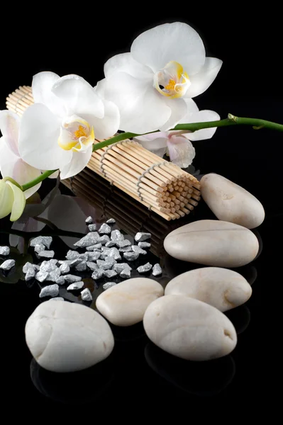 白色兰花和石头 — 图库照片