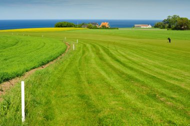 Golf course on Bornholm island clipart