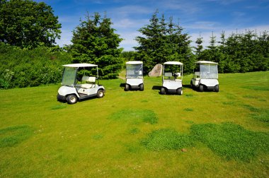 golf sahası üstünde dört Eko taşıyıcılar