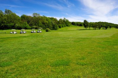 Golf course on Bornholm island clipart