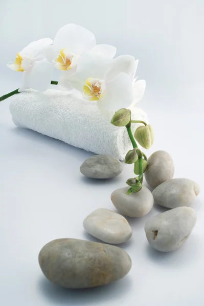 Biały ręcznik i kamienie z orchidei — Zdjęcie stockowe