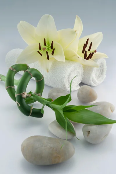 白いタオルと緑の竹 — ストック写真