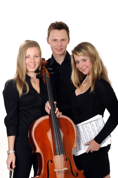 Young classic music trio — Stock Photo, Image