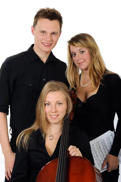 Young classical music team — Stock Photo, Image