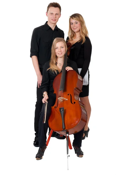 Beyaz zemin üzerinde klasik müzik trio — Stok fotoğraf