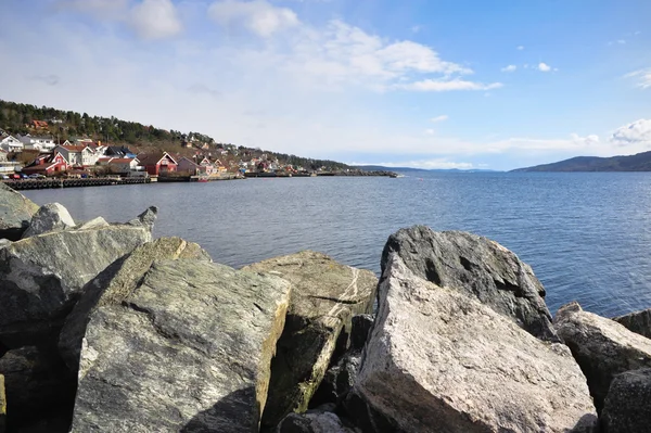 Norveç Fiyordu üzerindeki küçük bir kasaba — Stok fotoğraf