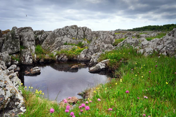 หินบนเกาะบอร์นโฮล์ม ทะเลบอลติก — ภาพถ่ายสต็อก
