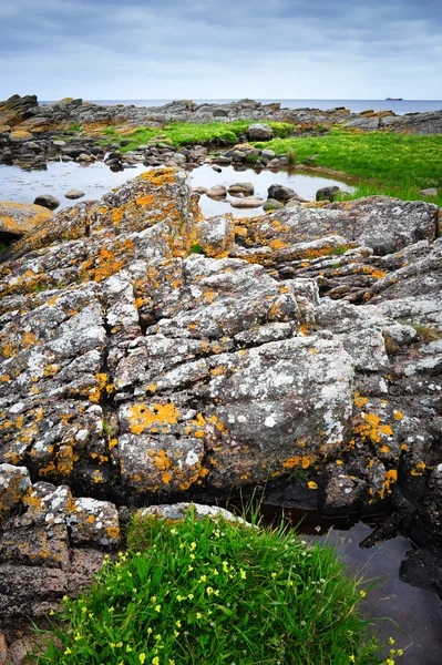 Скалы на острове Борнхольм — стоковое фото