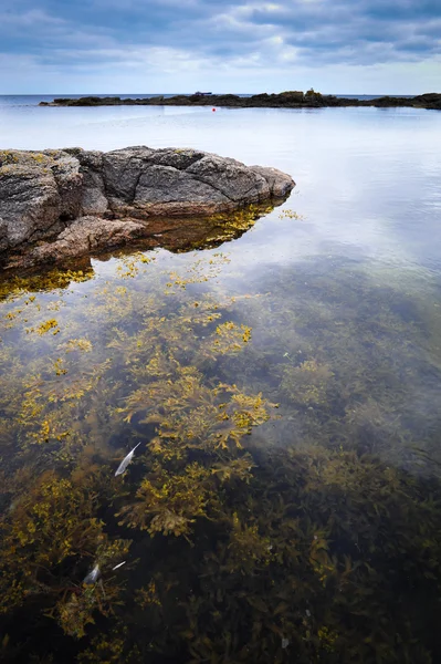 Kayaların üzerinde bornholm Adası, Baltık Denizi — Stok fotoğraf