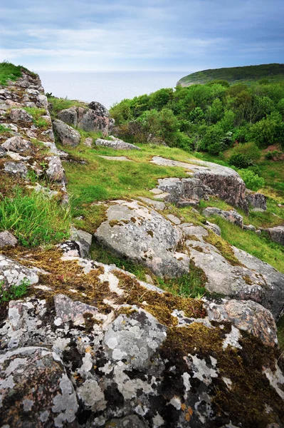 Bornholm ilha paisagem com rochas — Fotografia de Stock