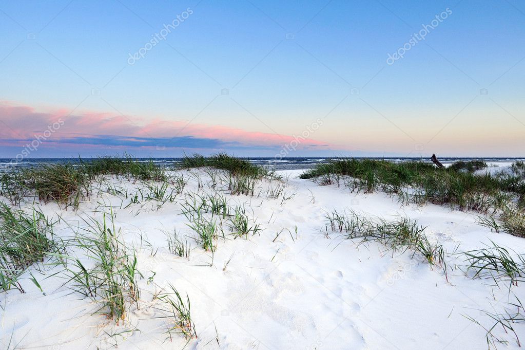 Dune on Bornholm island, Denmark