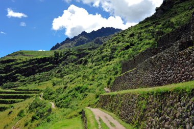 Hillside teraslar Peru