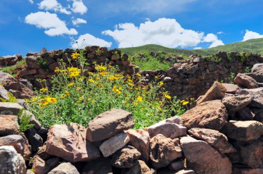 Ruins of old city in Peru clipart