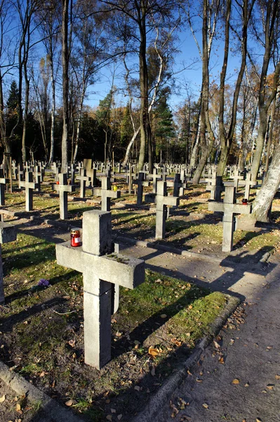Linhas de cruzes em cemitério — Fotografia de Stock