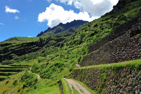 Terrasses à flanc de colline en Pérou — Photo
