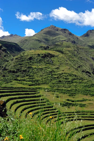 Hillside terraces in Peru — Stock fotografie