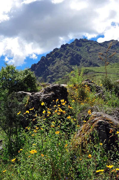 Montagne lanndscape peruviane — Foto Stock