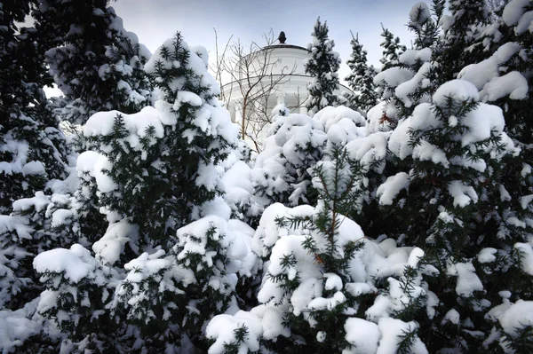 バック グラウンドで寺院と冬の木 — ストック写真