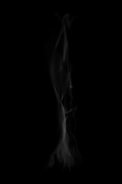 Stock image Delicate smoke on black background