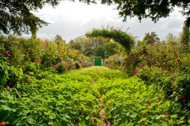 Monet's garden clipart