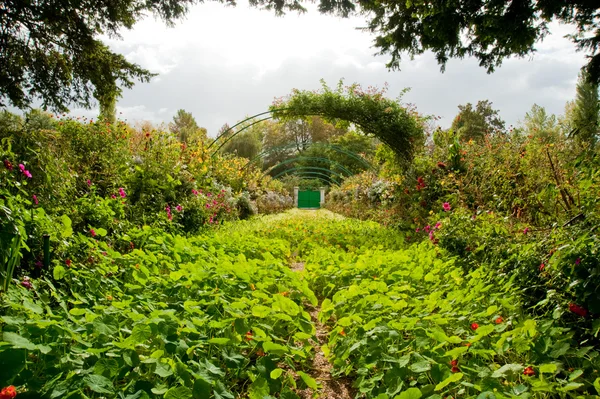 모네의 정원 — 스톡 사진