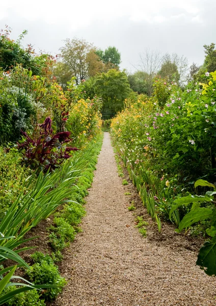 Monet's garden — Stock Photo, Image