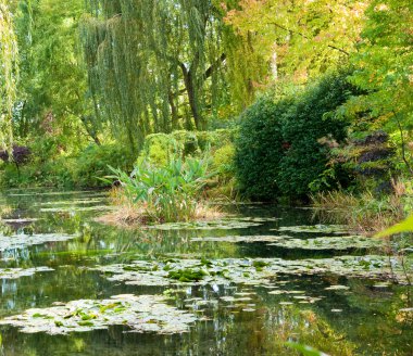 Monet's garden and lily pond clipart