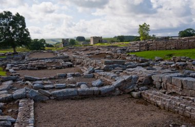 vindolanda Harabeleri