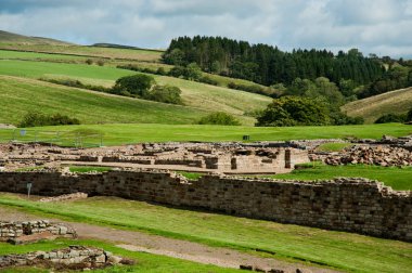 vindolanda Harabeleri