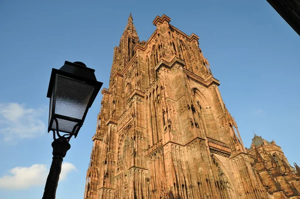 Strasbourg cathedral — Stock Photo, Image