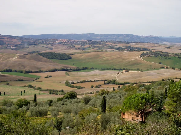 stock image Tuscan vista